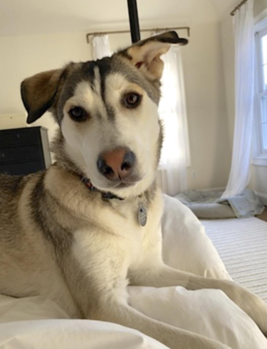 Kippa — thumbnail 3