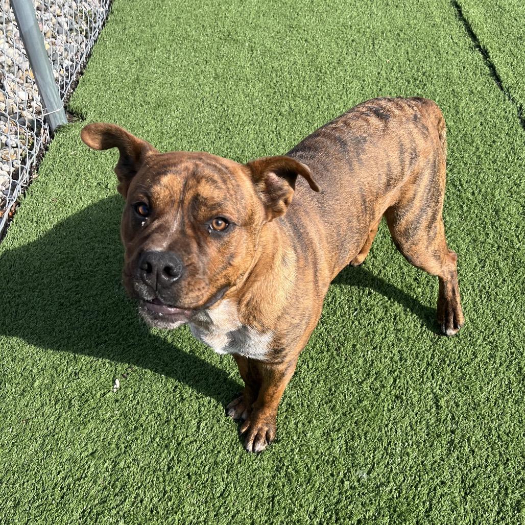 Sam Guy — thumbnail 2