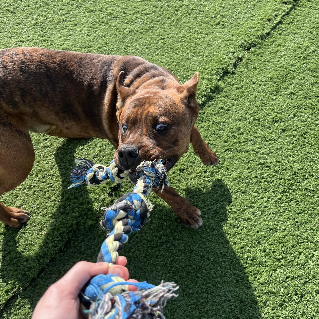 Sam Guy — thumbnail 3