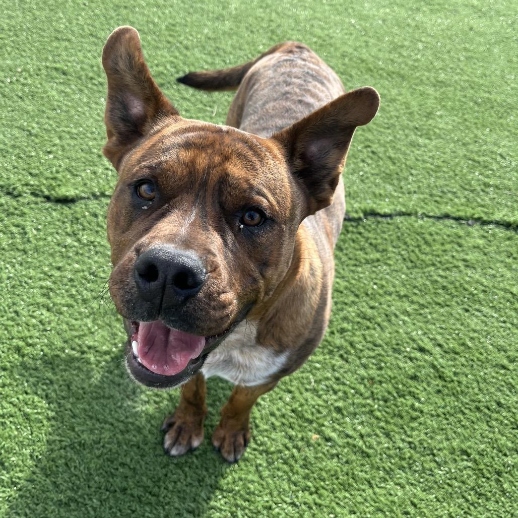 Sam Guy — thumbnail 4