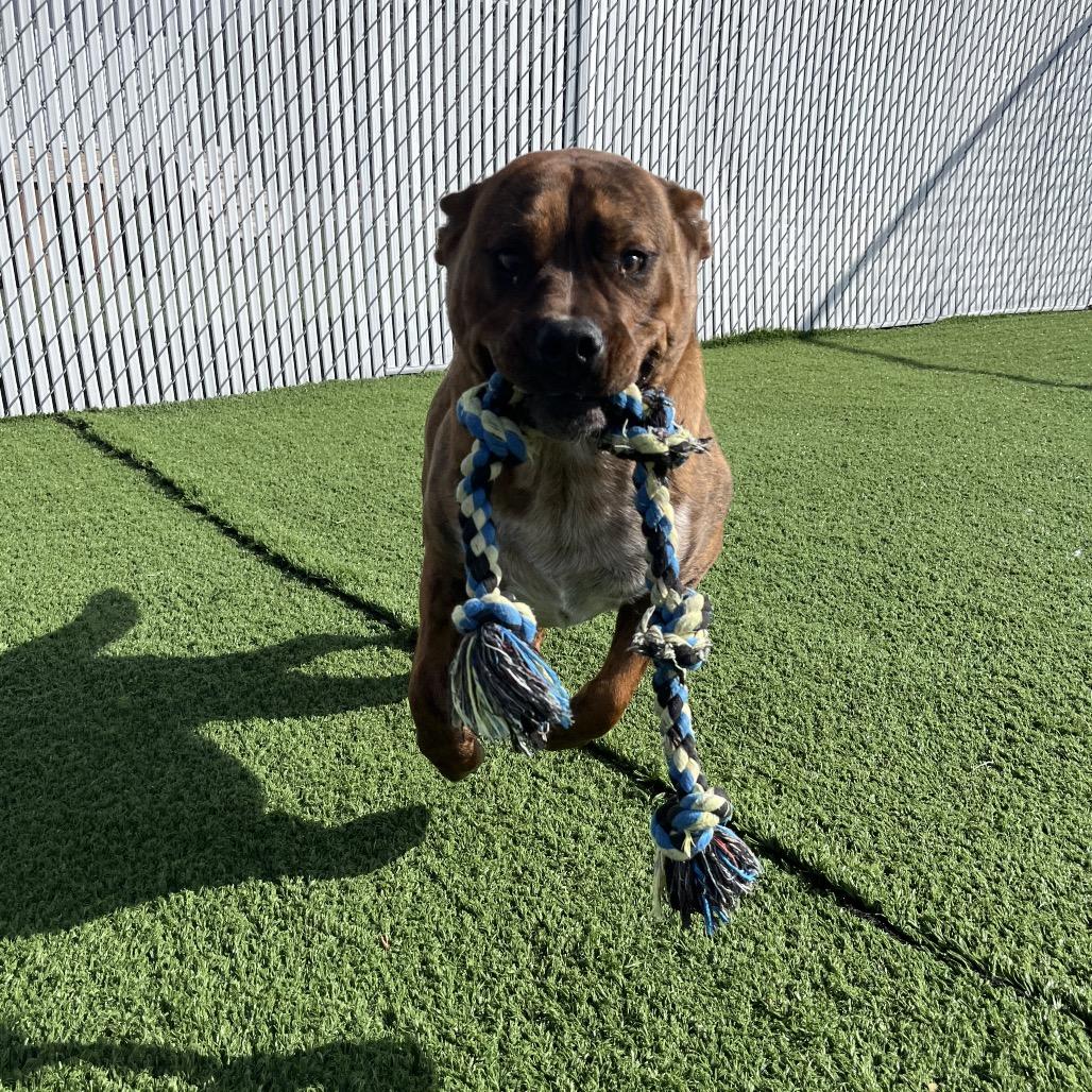 Sam Guy — thumbnail 5