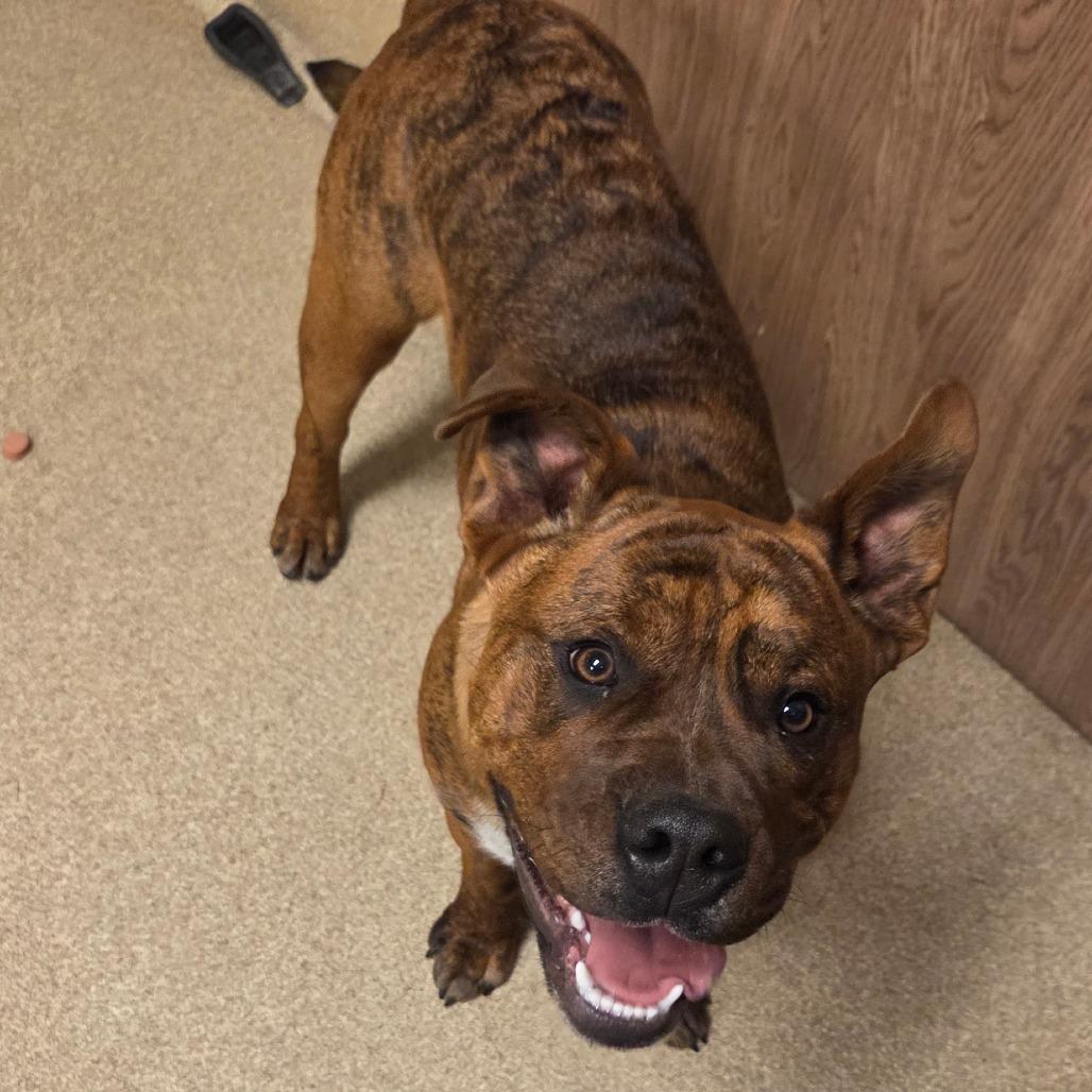 Sam Guy — thumbnail 6