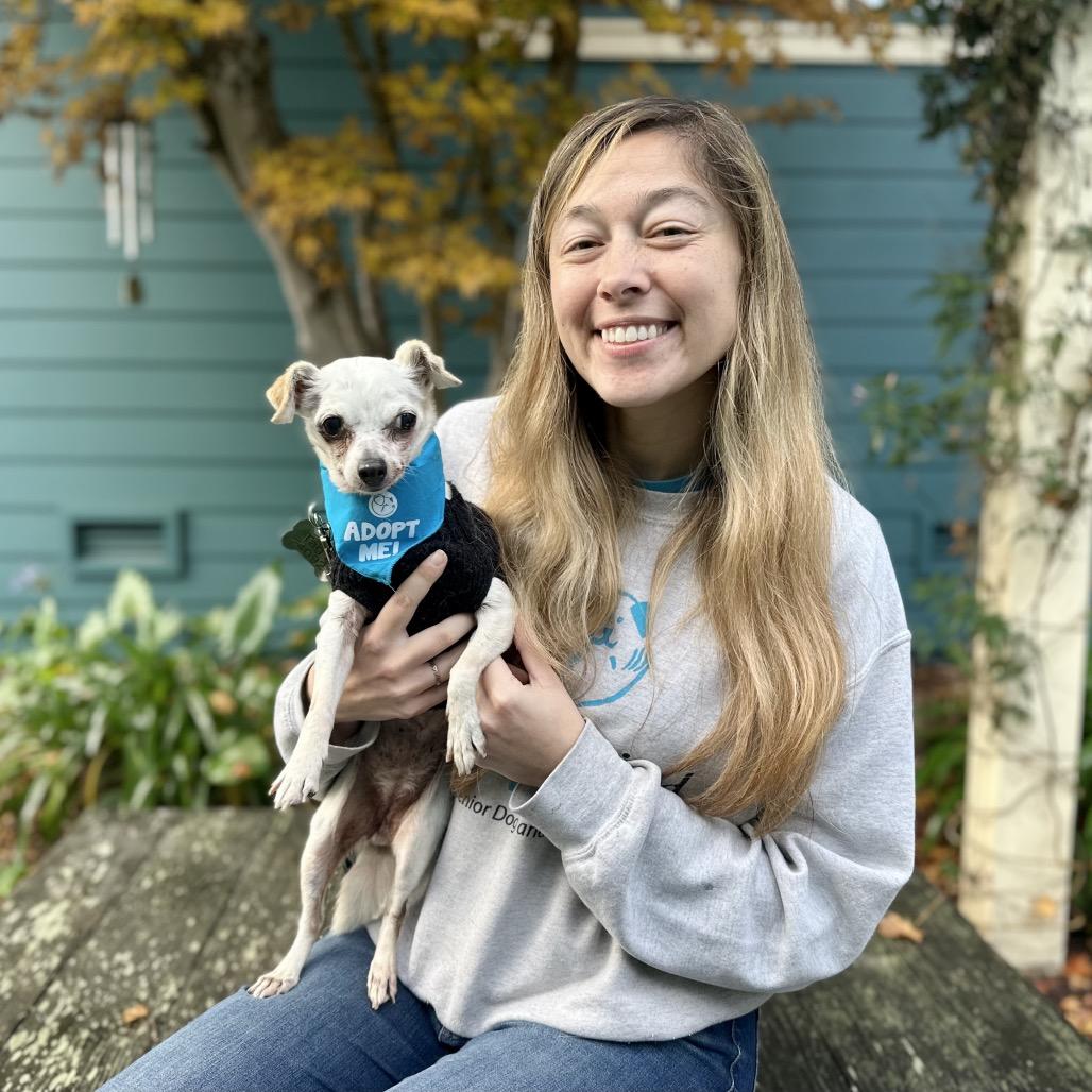 Snowflake, a Adoptable Chihuahua in Pacific Grove, CA image 3/5