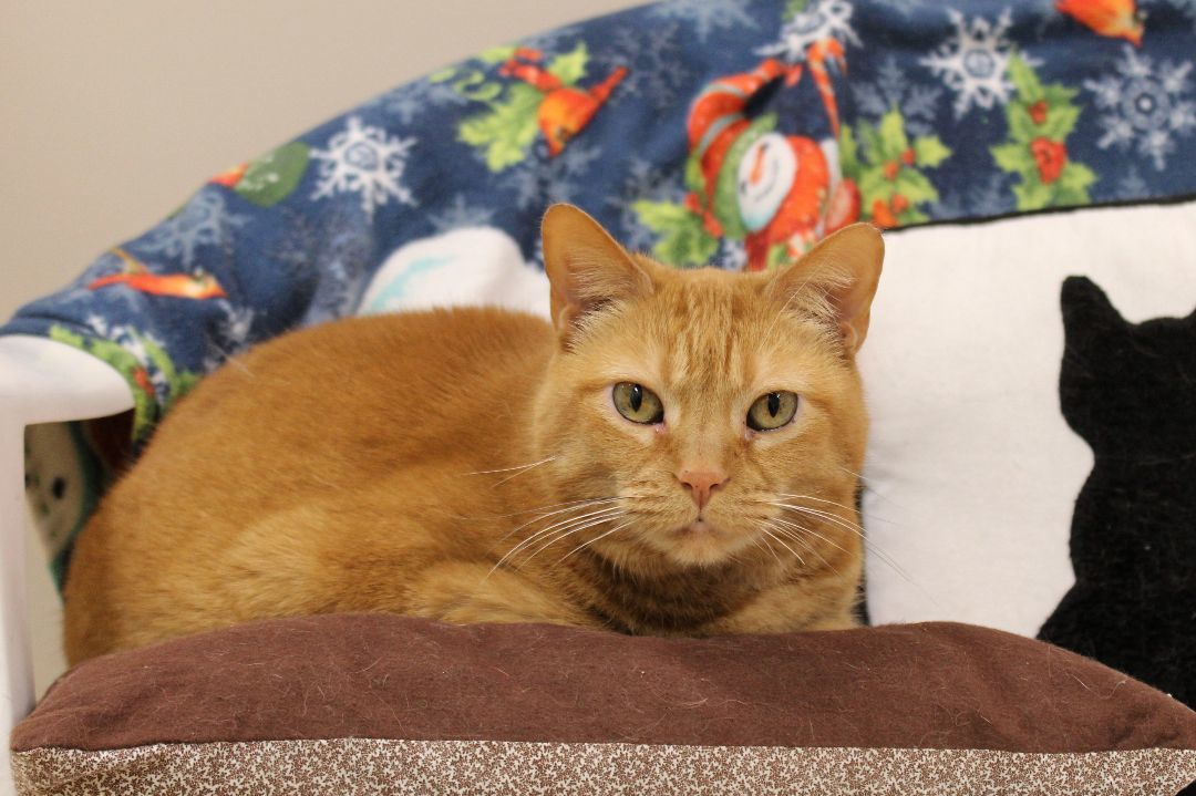 Peaches photo 2
