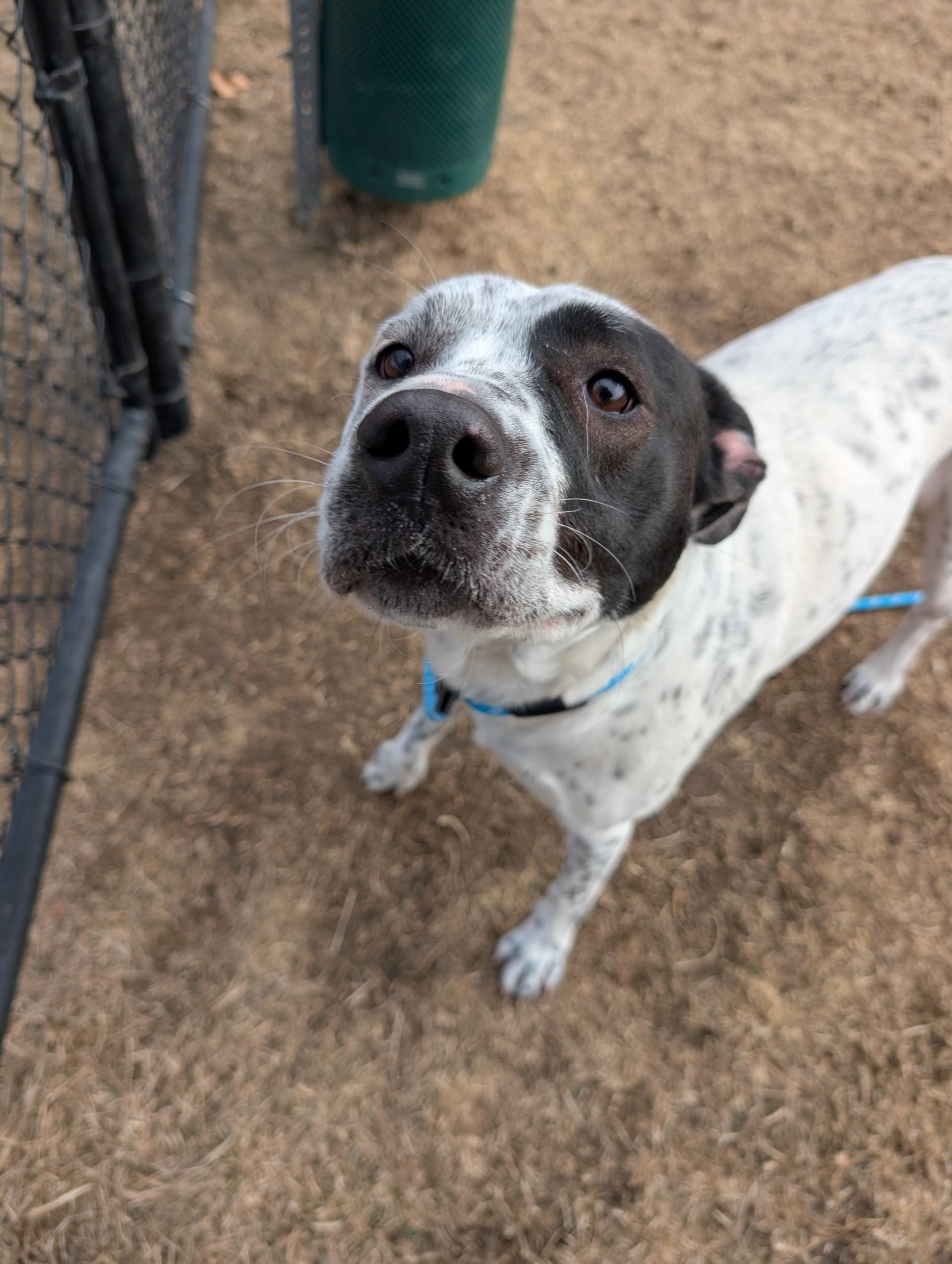 Maggie — thumbnail 2