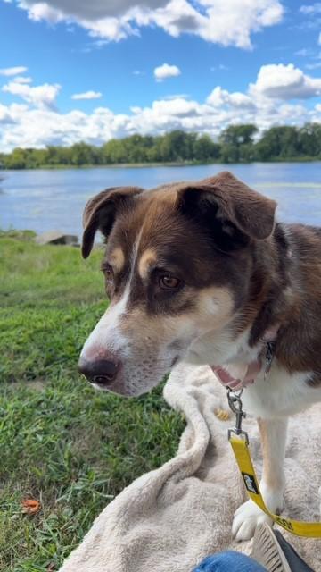 Molly