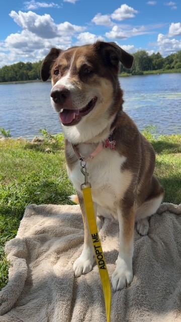 Molly