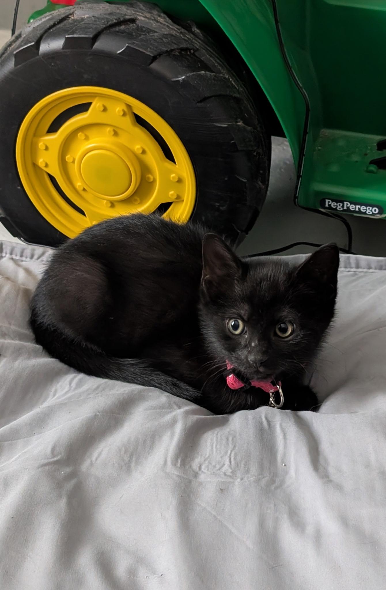 Sabrina