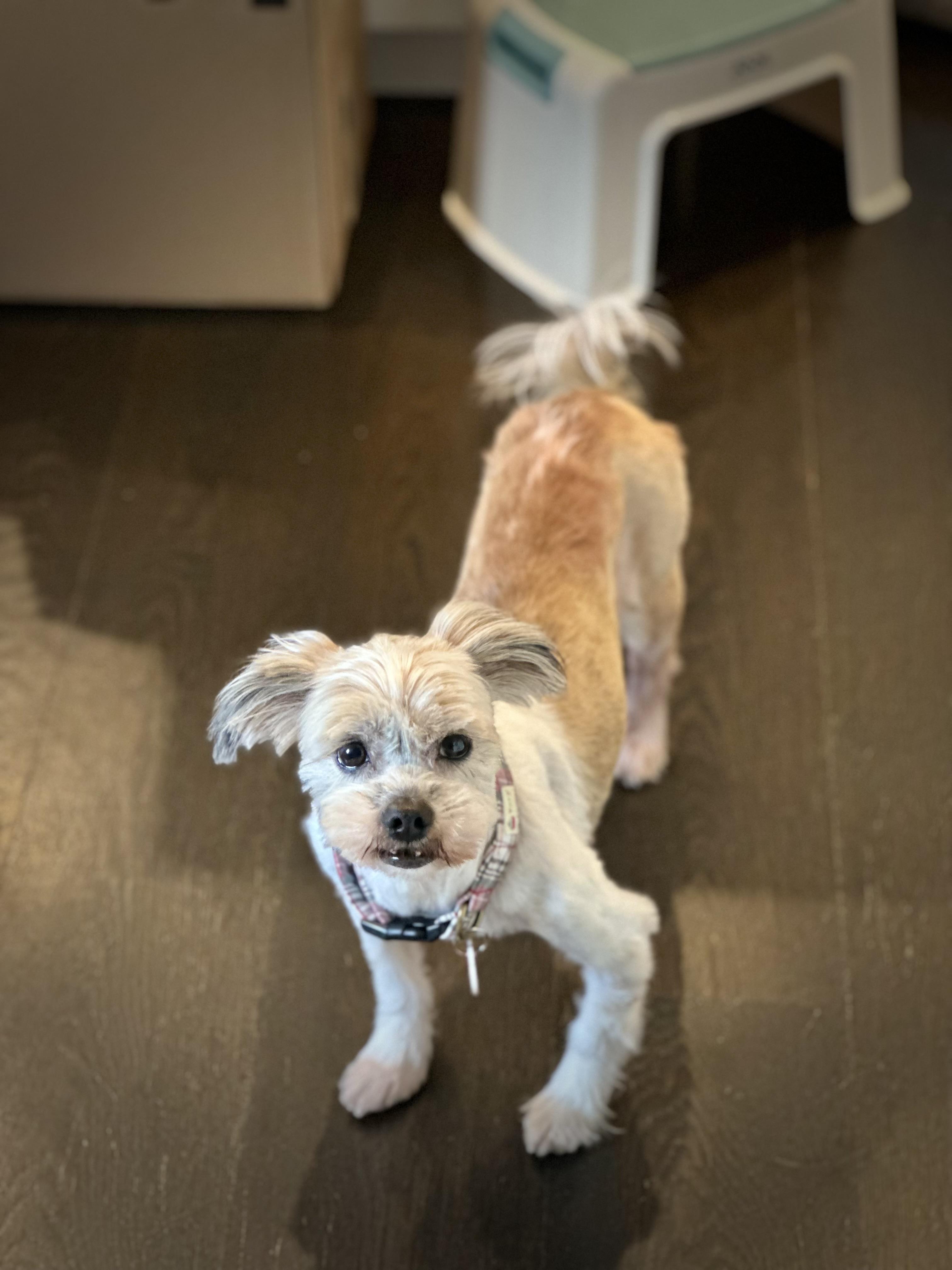 Cancan Loves Kids! thumbnail 3