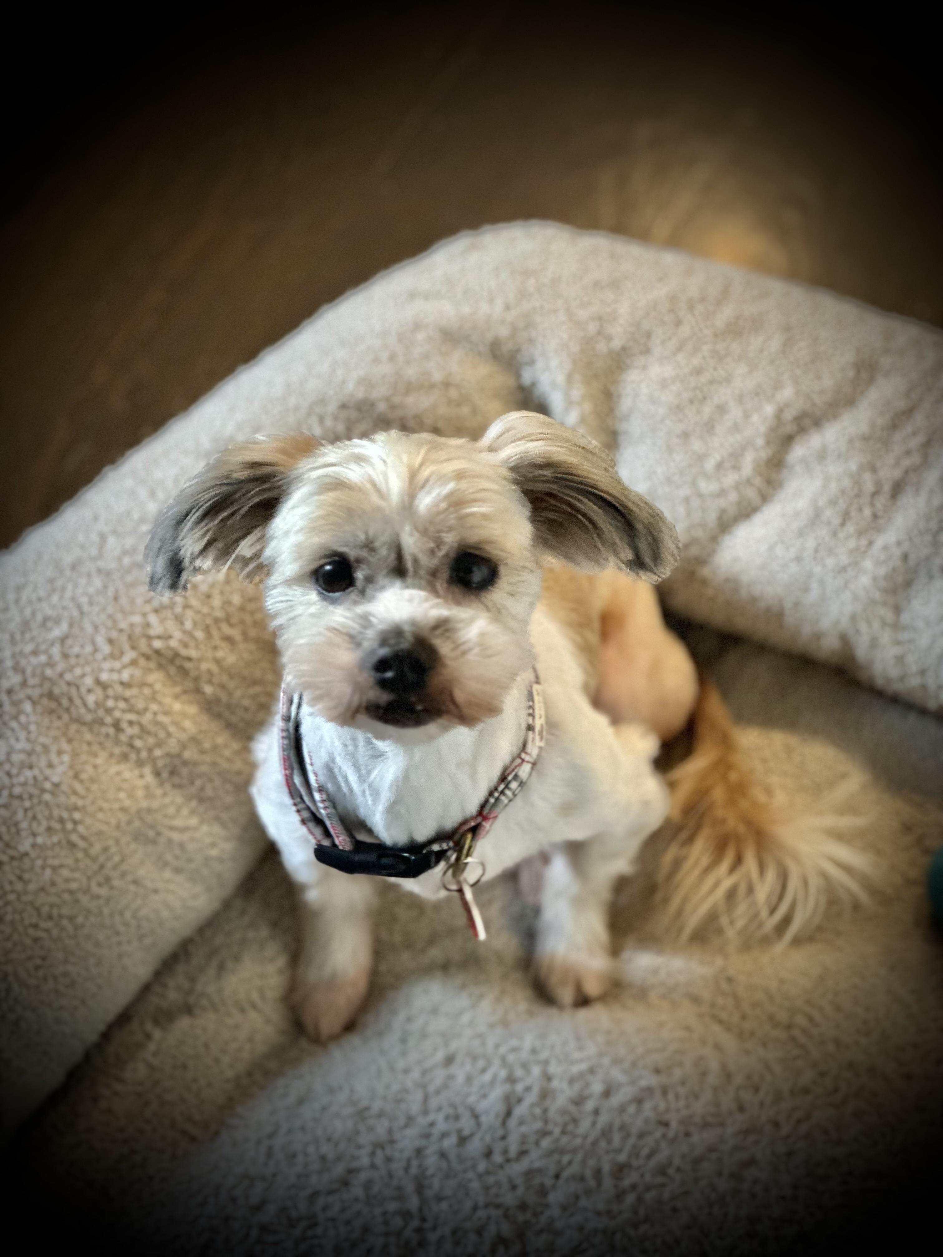 Cancan Loves Kids! thumbnail 5