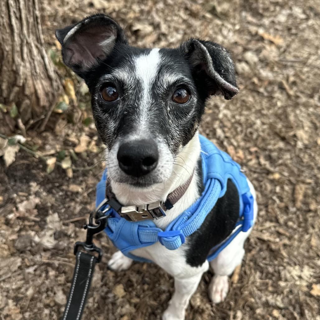 Casey — thumbnail 3