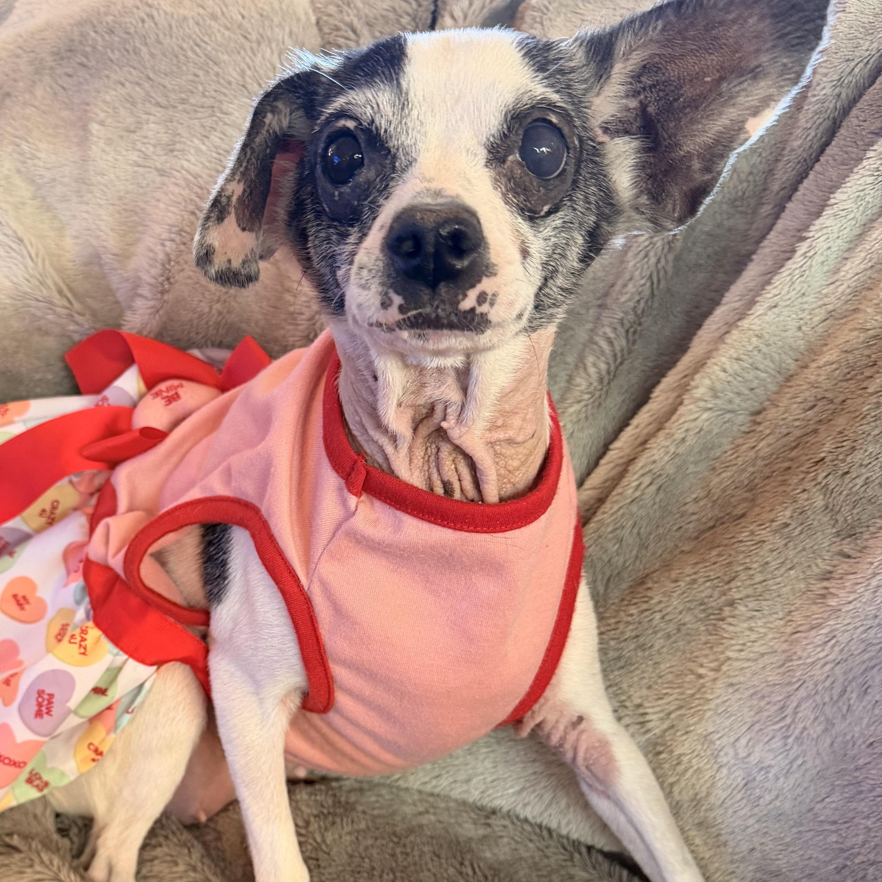 Zoey — thumbnail 2