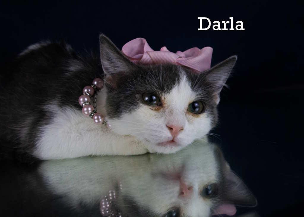 Darla
