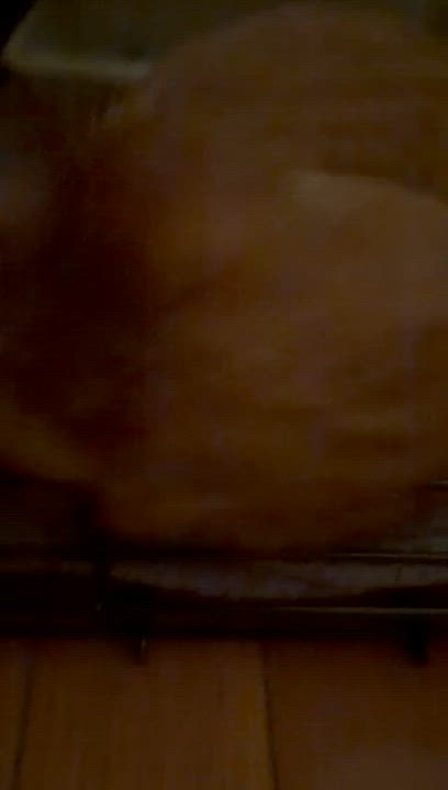 Enlarge Dante, a ADOPTABLE Domestic Short Hair in New York, NY video 2/3