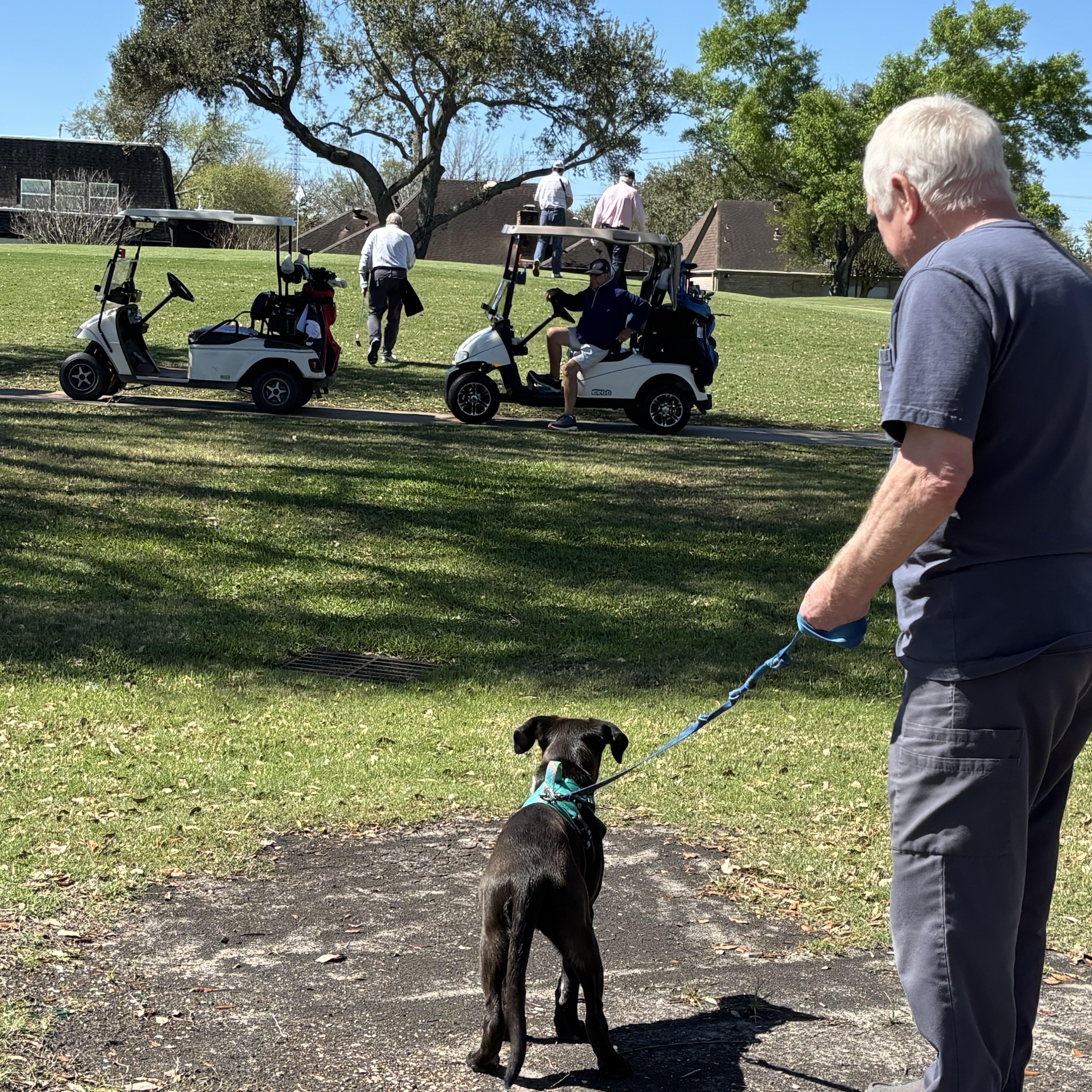 Enlarge Victoria Valentina Loves Everyone and Hikes, a Adoptable mixed breed in Cincinnati, OH image 4/6