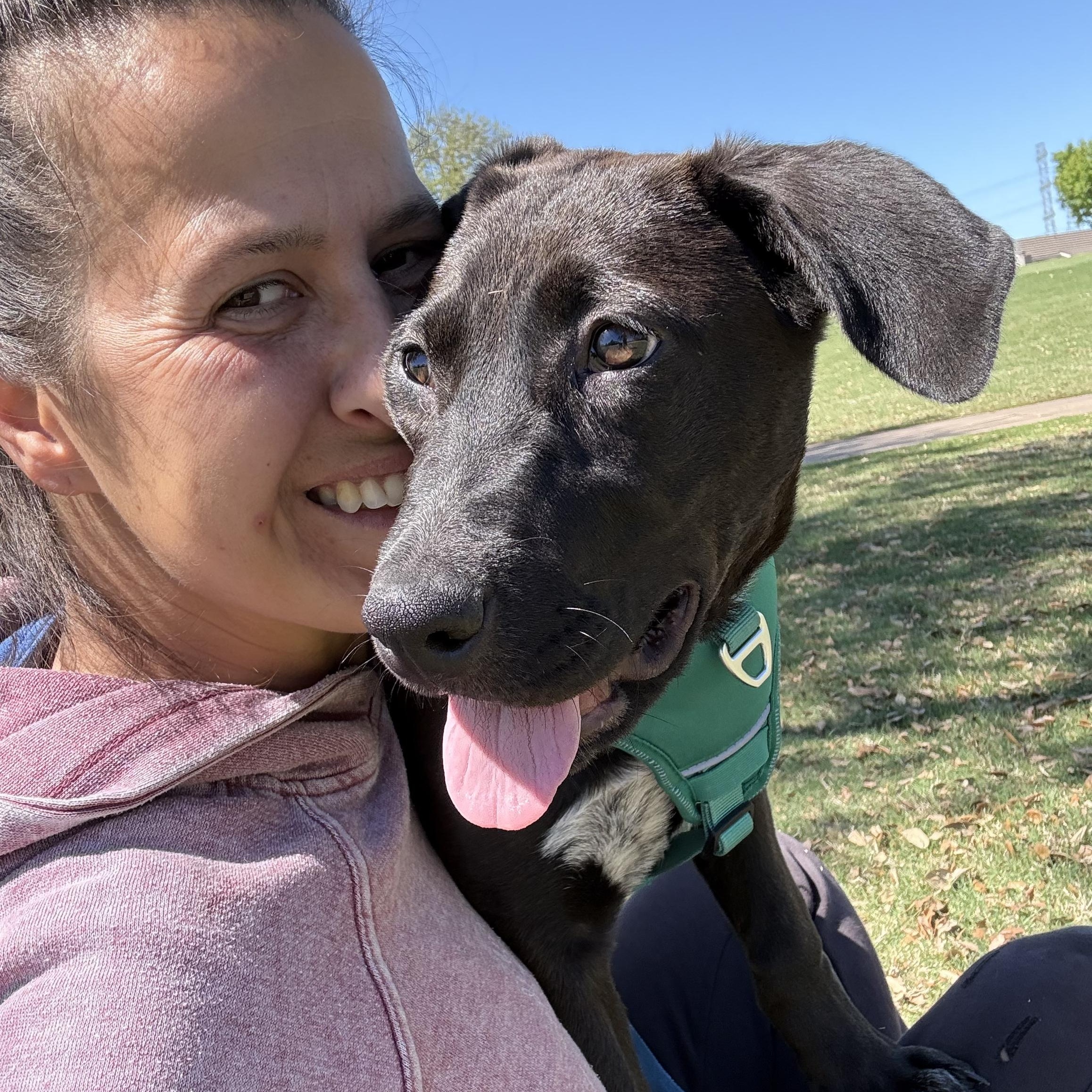 Enlarge Victoria Valentina Loves Everyone and Hikes, a Adoptable mixed breed in Cincinnati, OH image 5/6