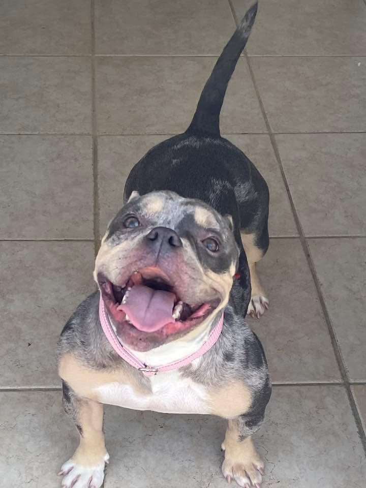 Lotto -NJ