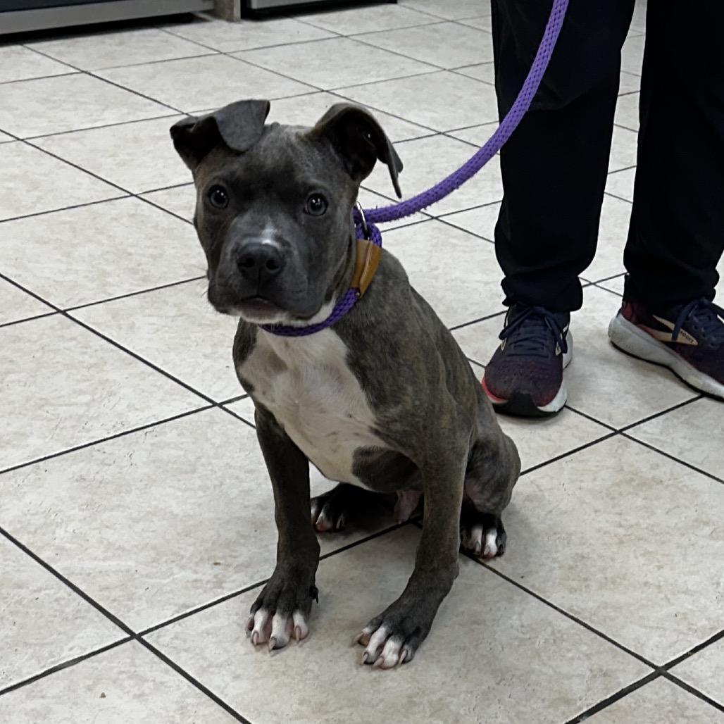 Milton — thumbnail 2