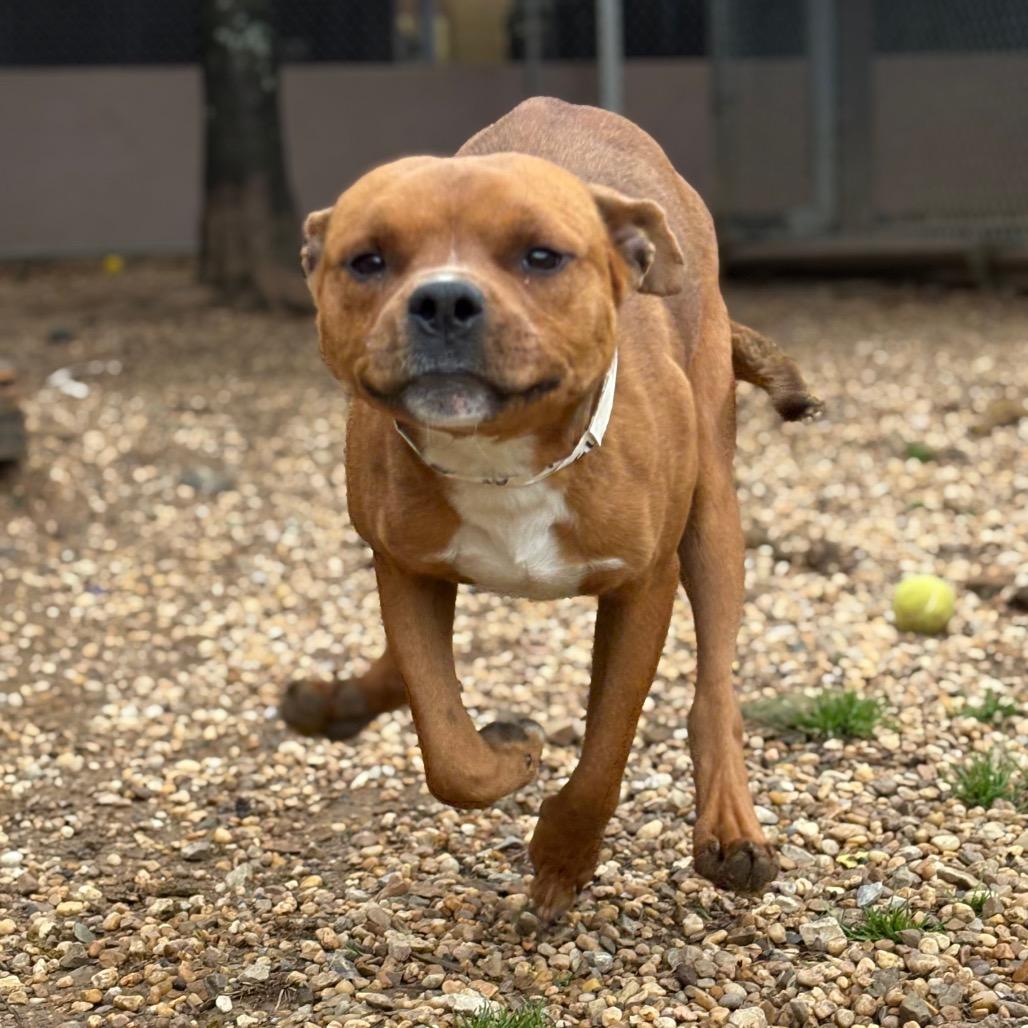 Arthur — thumbnail 2