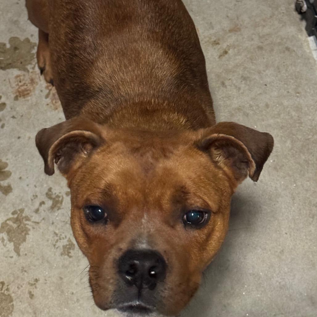 Arthur — thumbnail 3