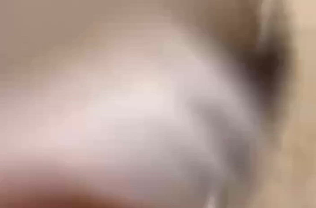 Enlarge Phoebe, a ADOPTABLE mixed breed in Torrington, CT video 6/6