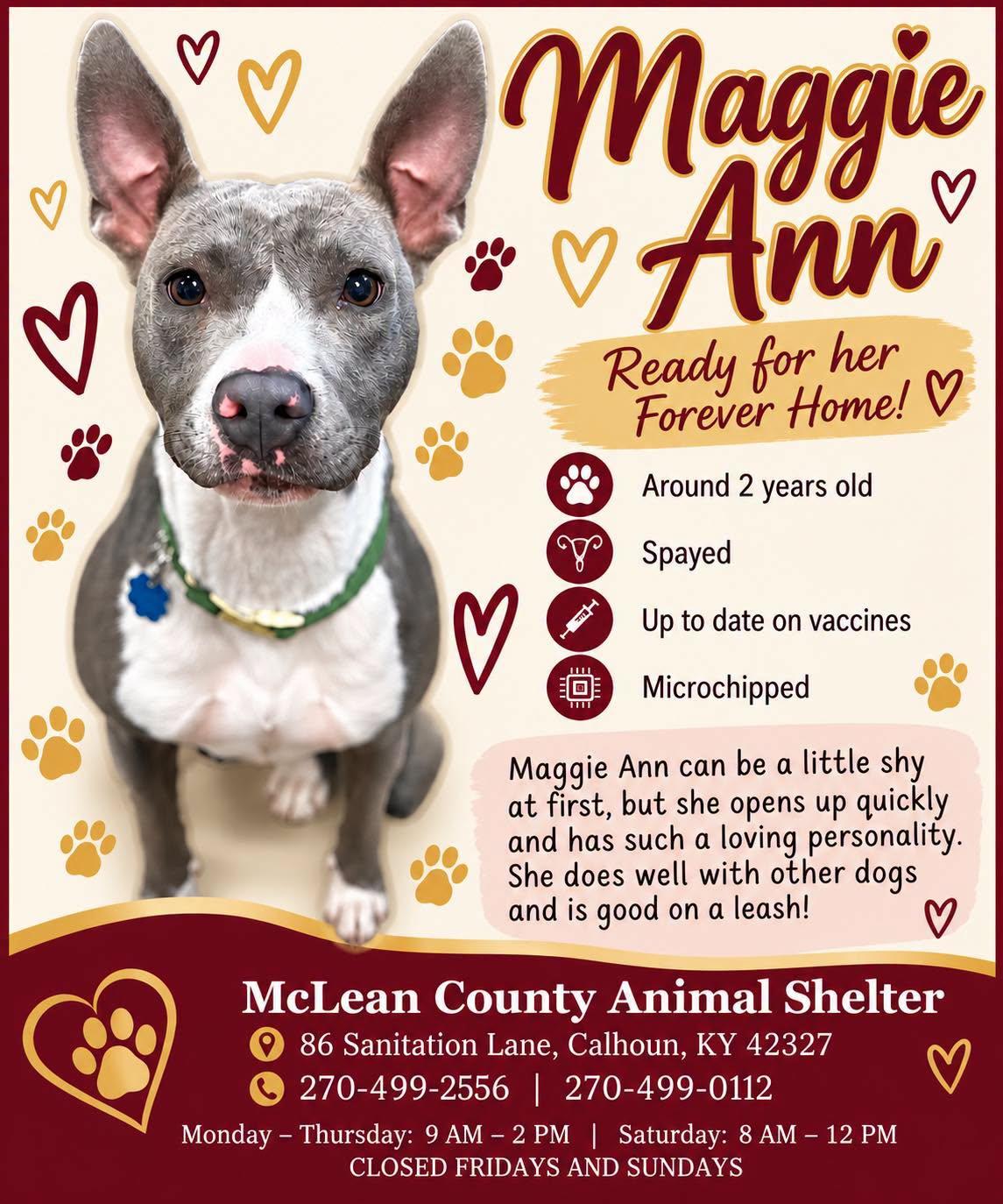Maggie Ann - Adoptable Pet | Petfinder