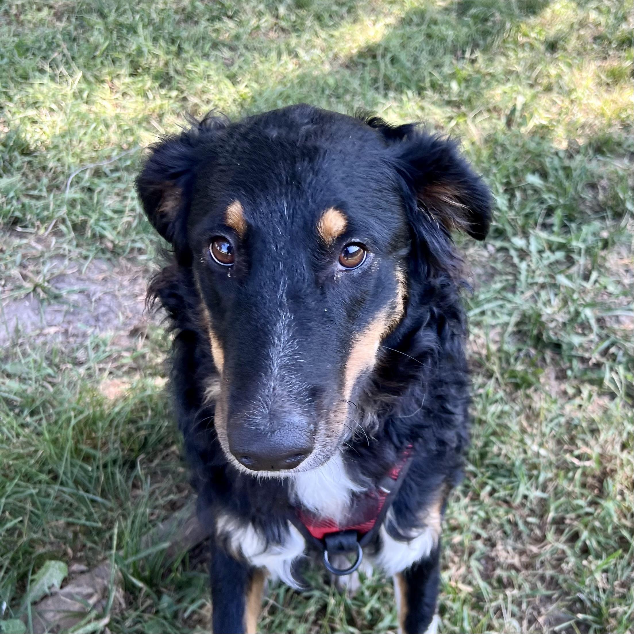 Tiberius