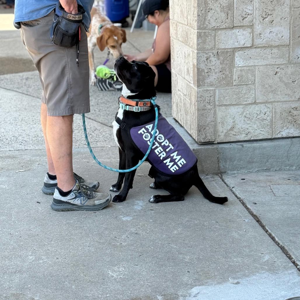 Lily G — thumbnail 5