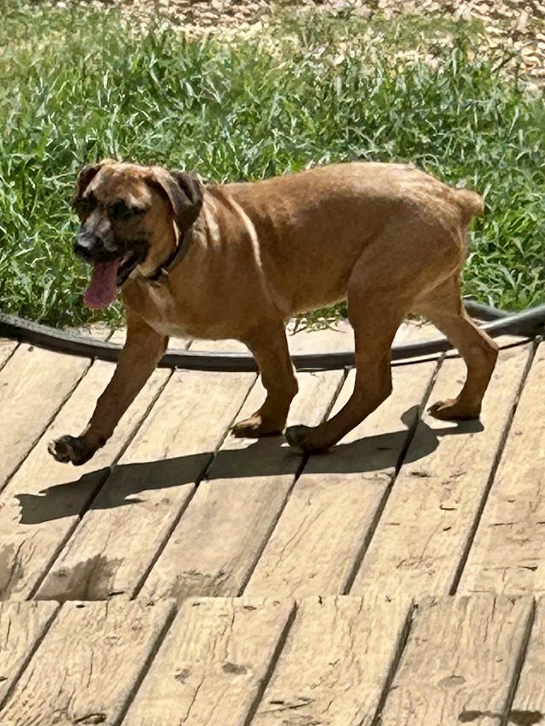 FRANK