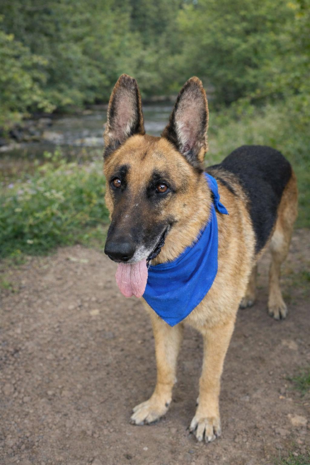 Megan and Magnus — thumbnail 2