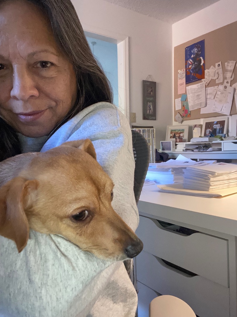 Enlarge Ginger Spice, a Adoptable mixed breed in MONUMENT, CO image 4/4