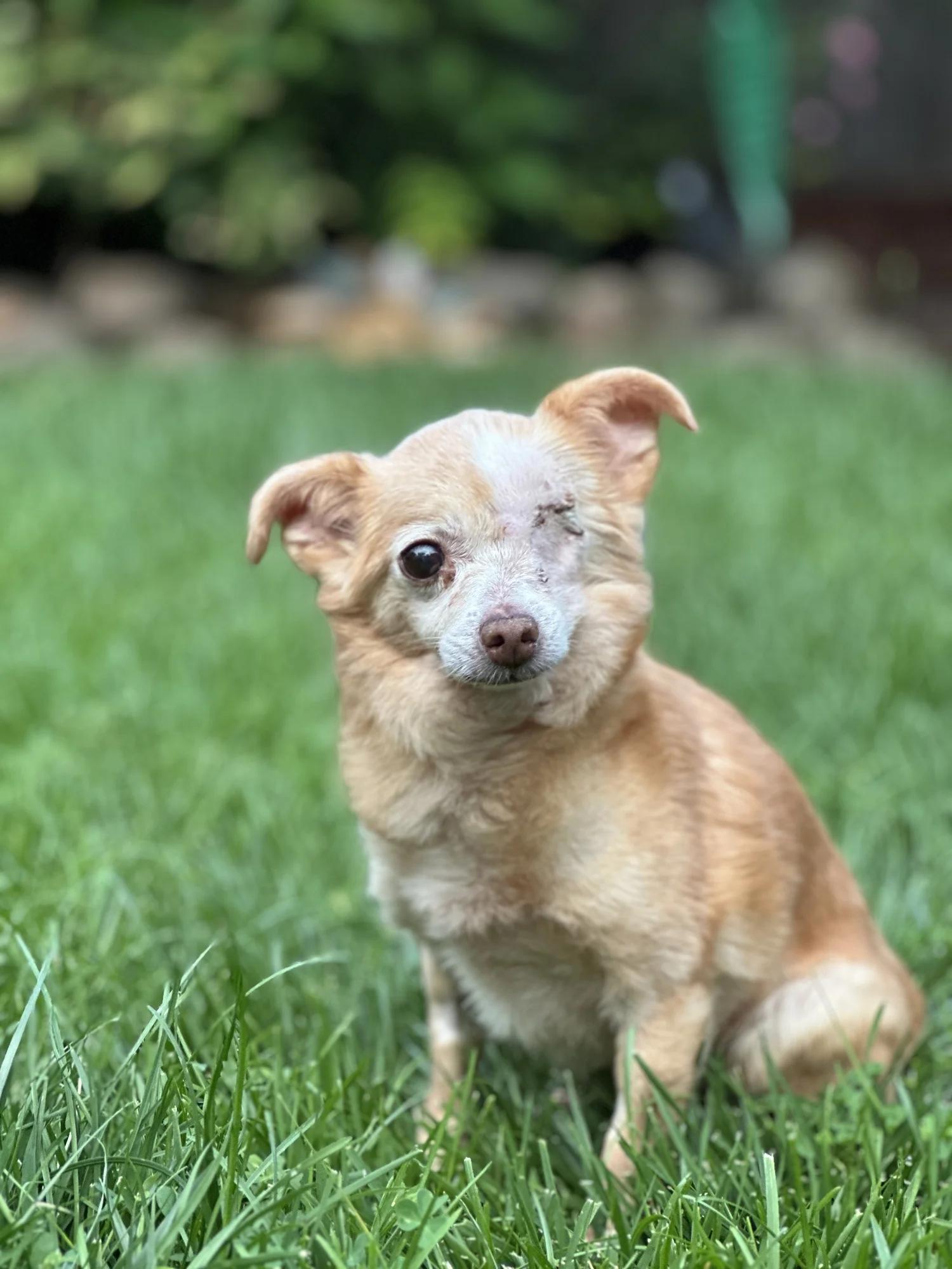 Mary J. Blige, Senior Female unknown