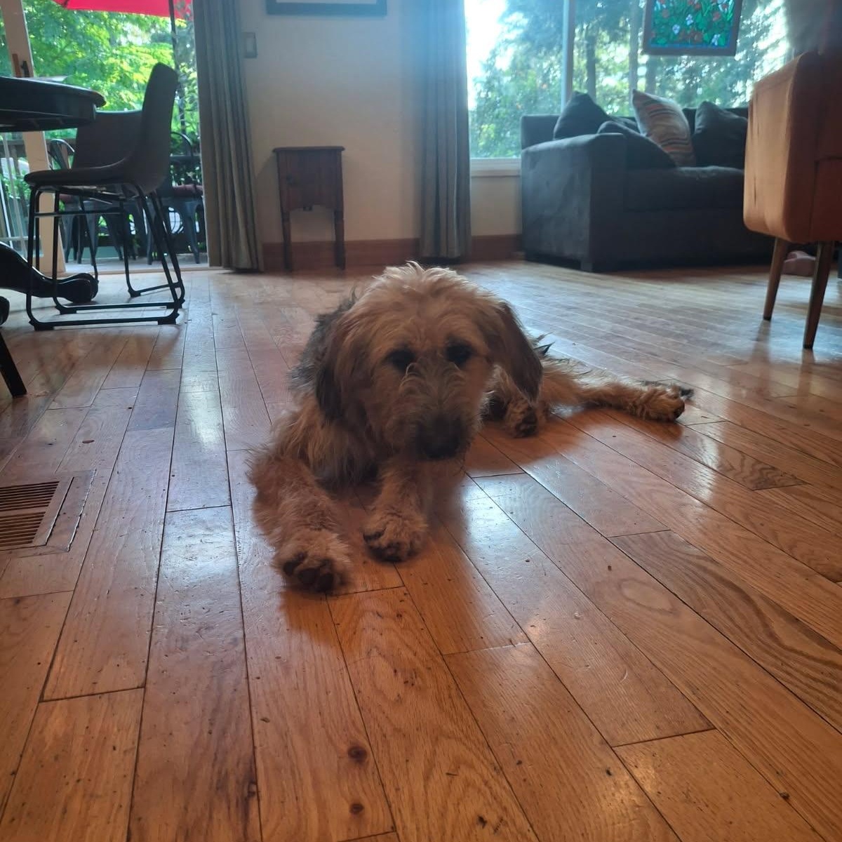 Adele  Local Oct thumbnail 3