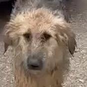 Adele - Local Sept 26-28