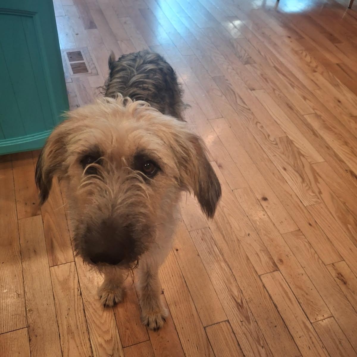 Adele - Local Sept 26-28