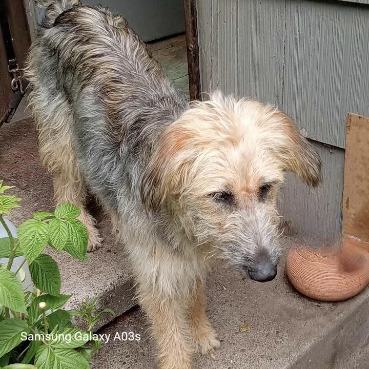 Adele - Local Sept 26-28