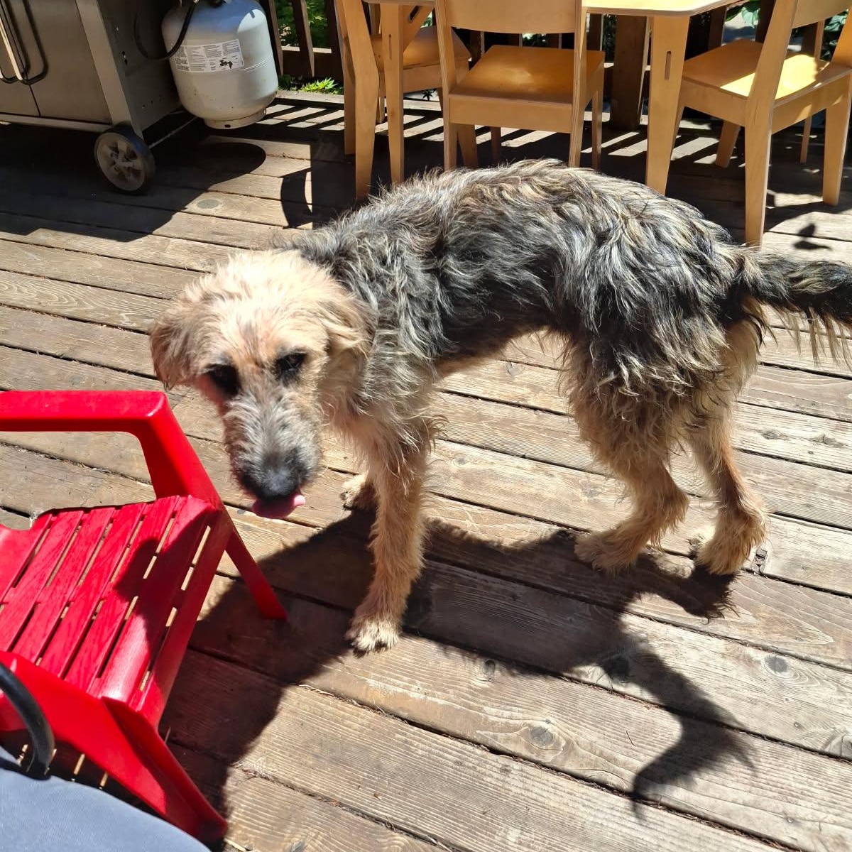 Adele  Local Oct thumbnail 6