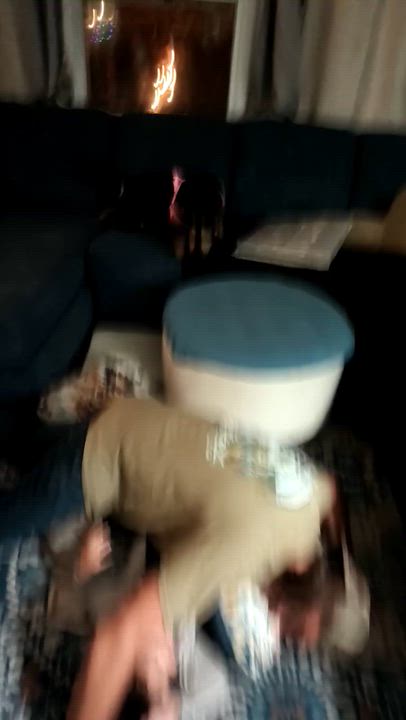 Enlarge Sasha, a ADOPTABLE mixed breed in Port Saint Lucie, FL video 3/3