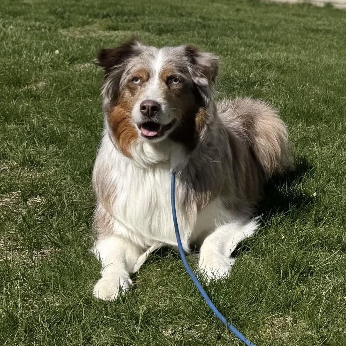 Bella photo 2