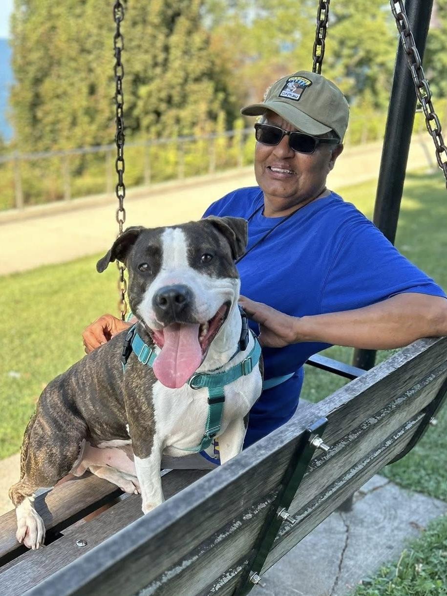 Martin, a Adoptable mixed breed in Cleveland, OH image 3/6