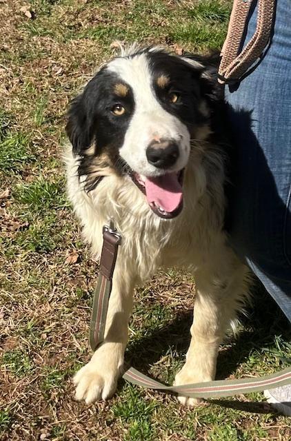 Tombstone Talent — thumbnail 2