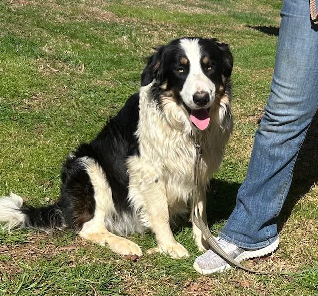 Tombstone Talent — thumbnail 4