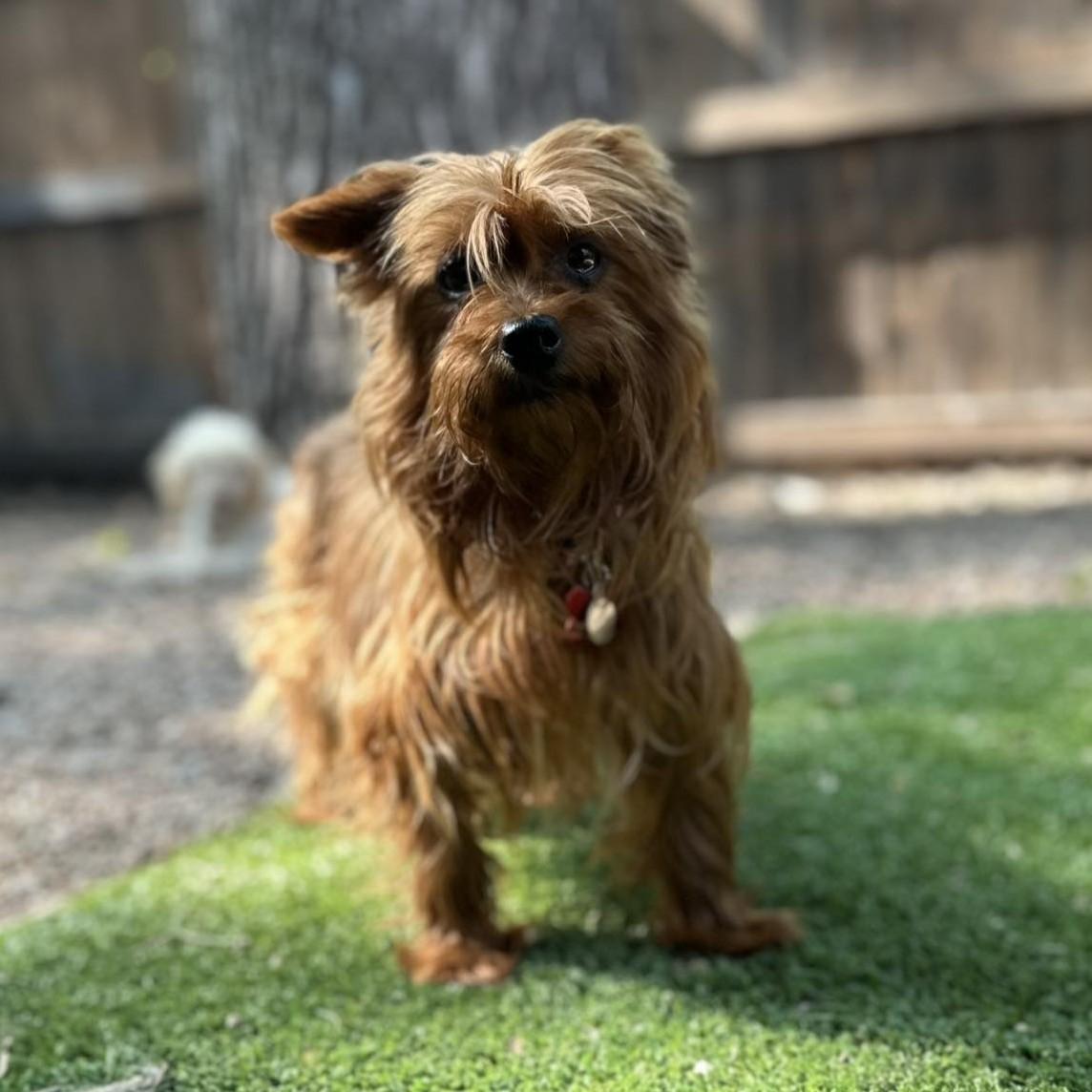 Maggie