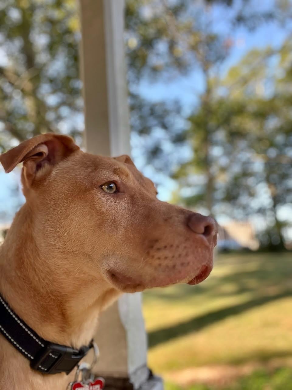 Sammie
