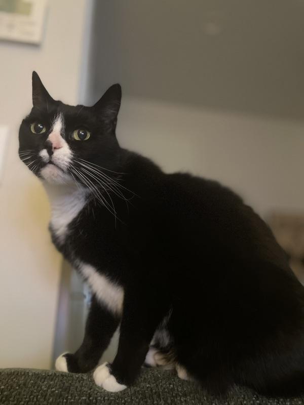 Charli — thumbnail 3