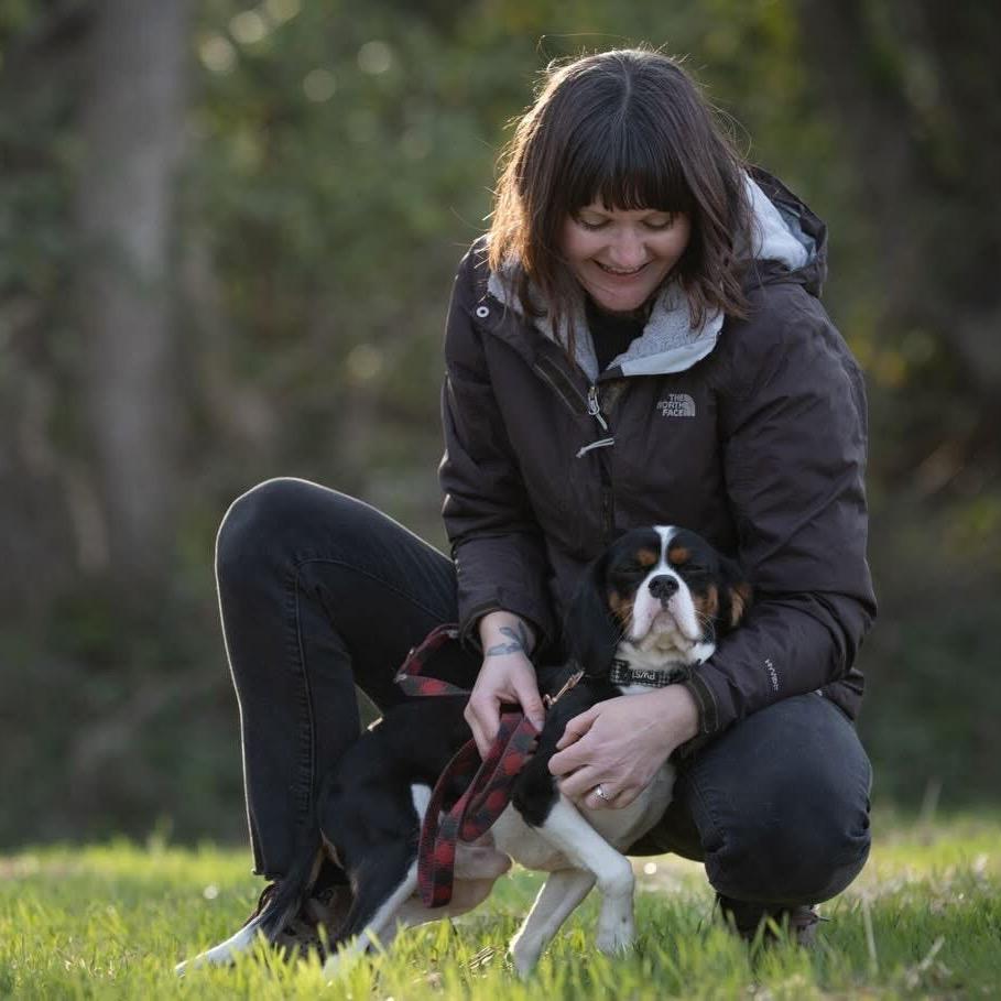 Willy Wigglebottoms thumbnail 3