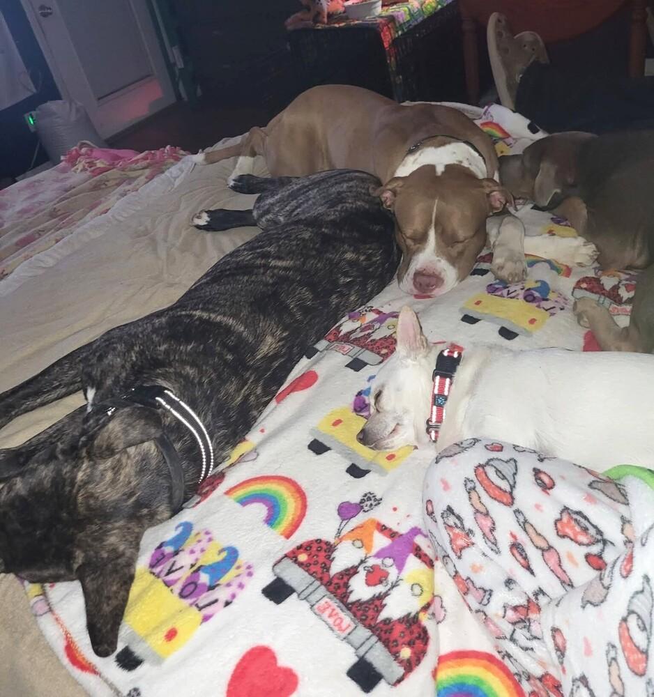 Hercules thumbnail 3