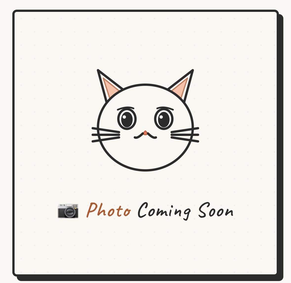 Enlarge April, a ADOPTABLE Domestic Short Hair in Gladstone, OR image 1/1