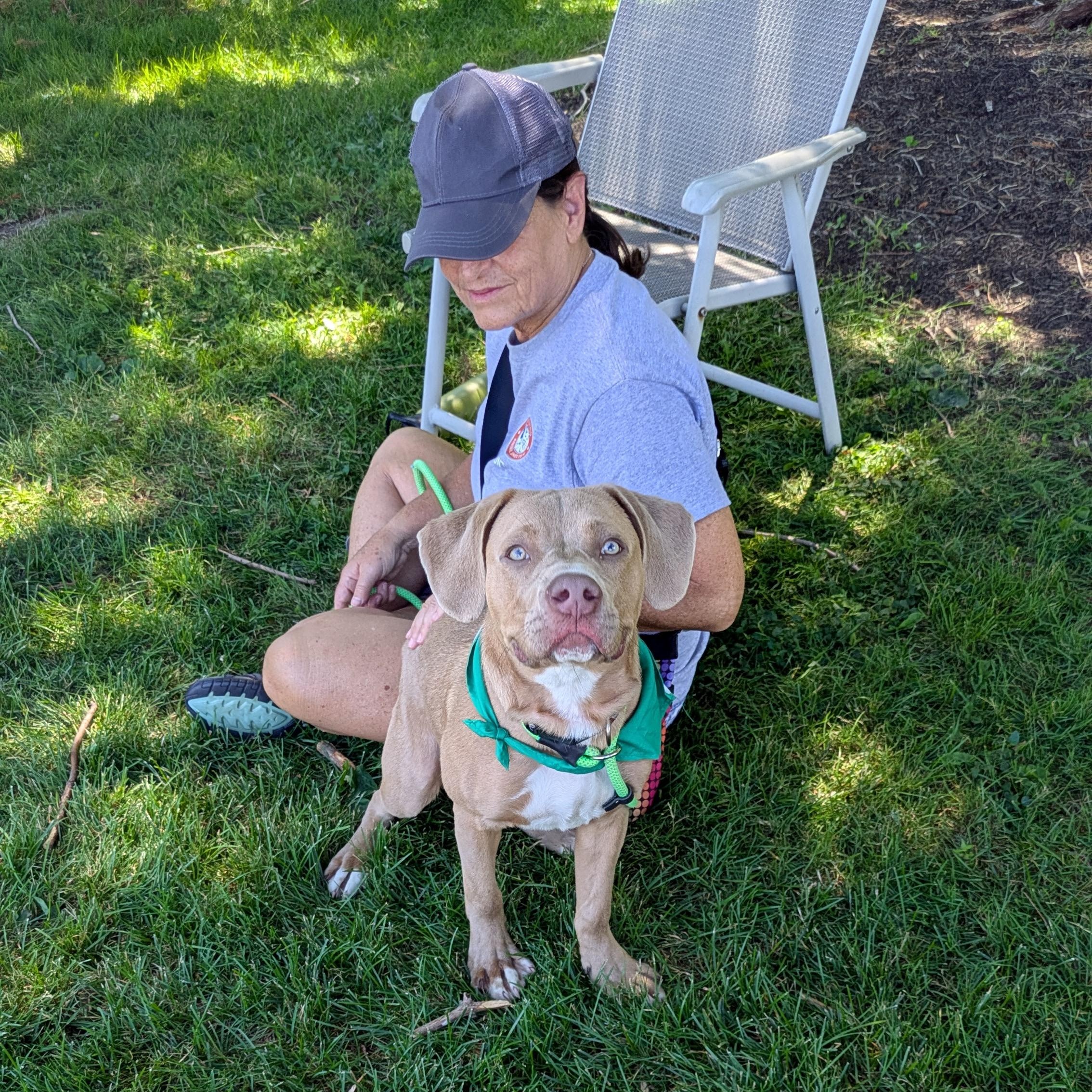 Quincy, an adopted Mixed Breed in Buffalo, NY image 3/5