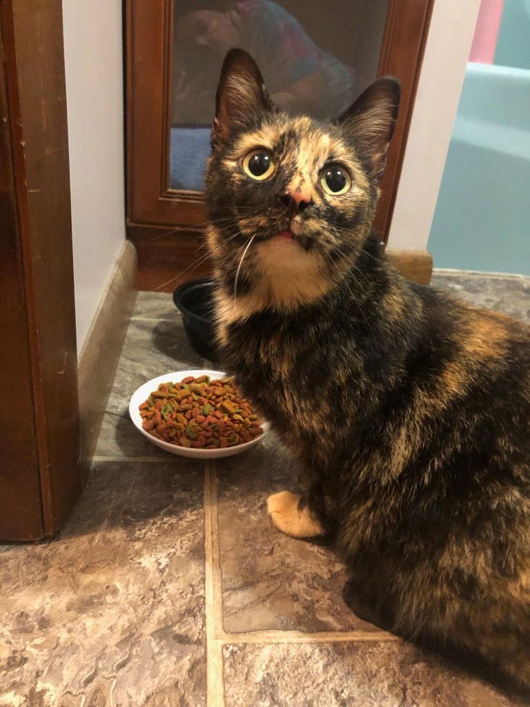 Confetti — thumbnail 3